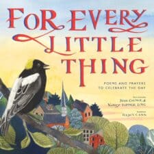 for every little thing 10 books on gratitude for children