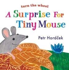 A Surprise for Tiny Mouse