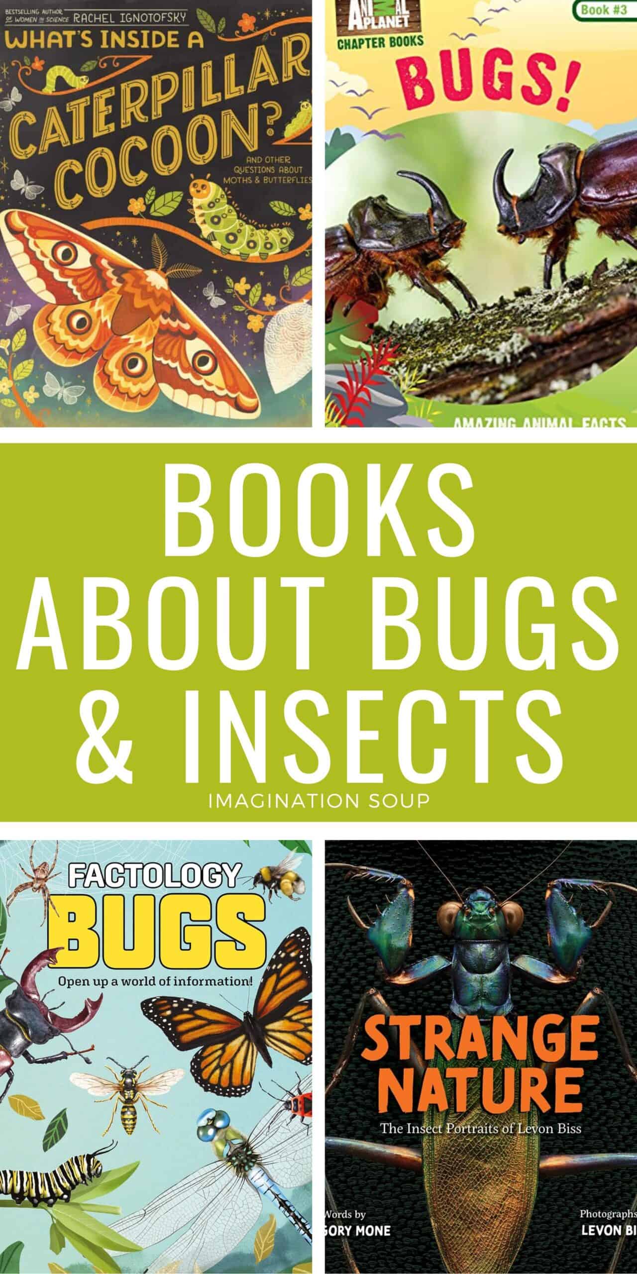 books about bugs and insects