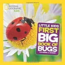 Best Children's Books About Bugs (Insects, Worms, and Arachnids)