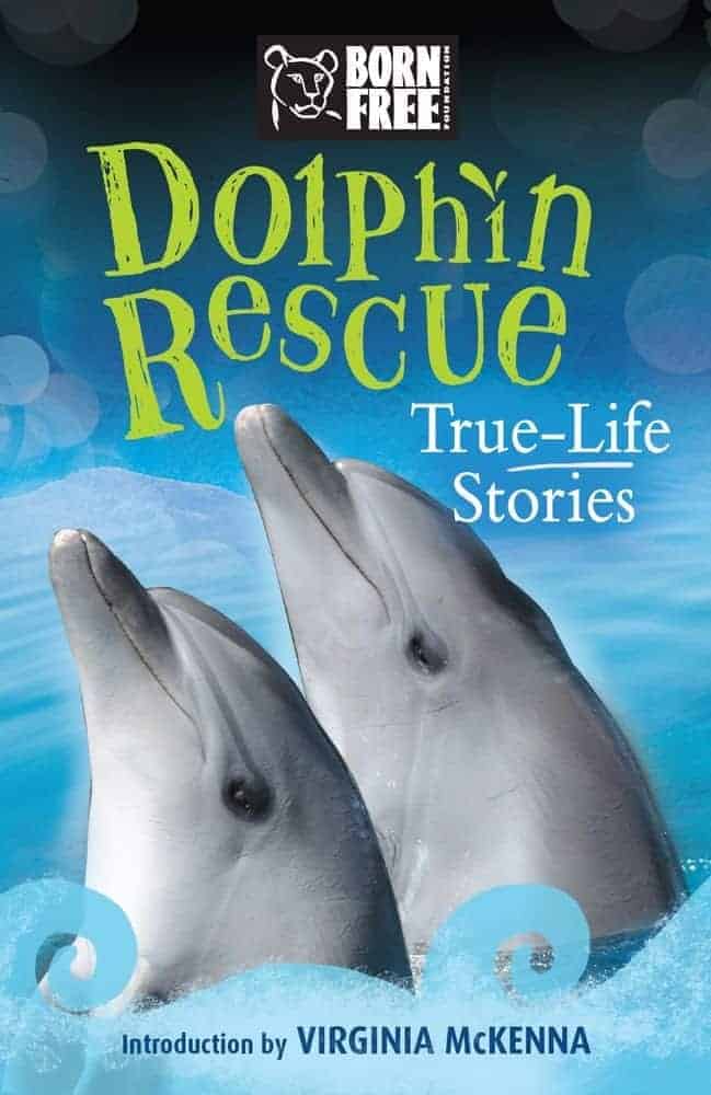 Books for Kids About Dolphins