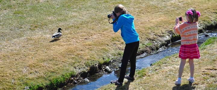 Capturing Signs of Spring With Cameras