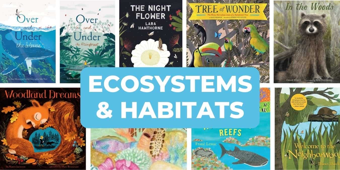 ecosystems and habitats for kids