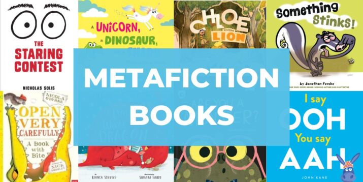 metafiction books that break the fourth wall (