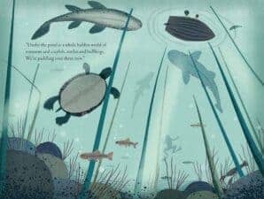 Over and Under the Pond by Kate Messner children's books about animals and nature