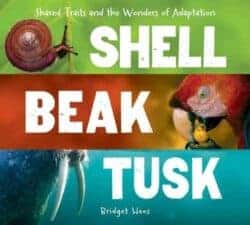 Shell Beak Tusk- Shared Traits and the Wonders of Adaptation by Bridget Heos New Spring Books for Kids About Nature and Animals