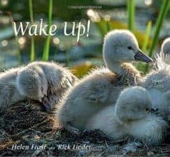 Wake Up! by Helen Frost New Spring Books for Kids About Nature and Animals