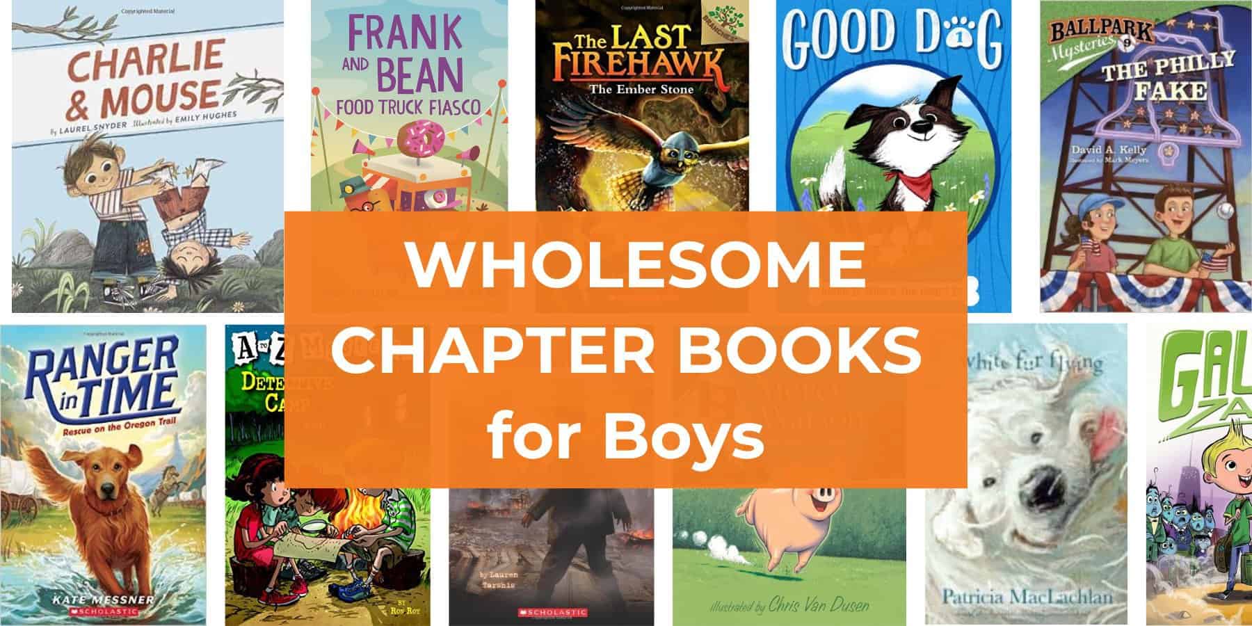 wholesome chapter books for boys