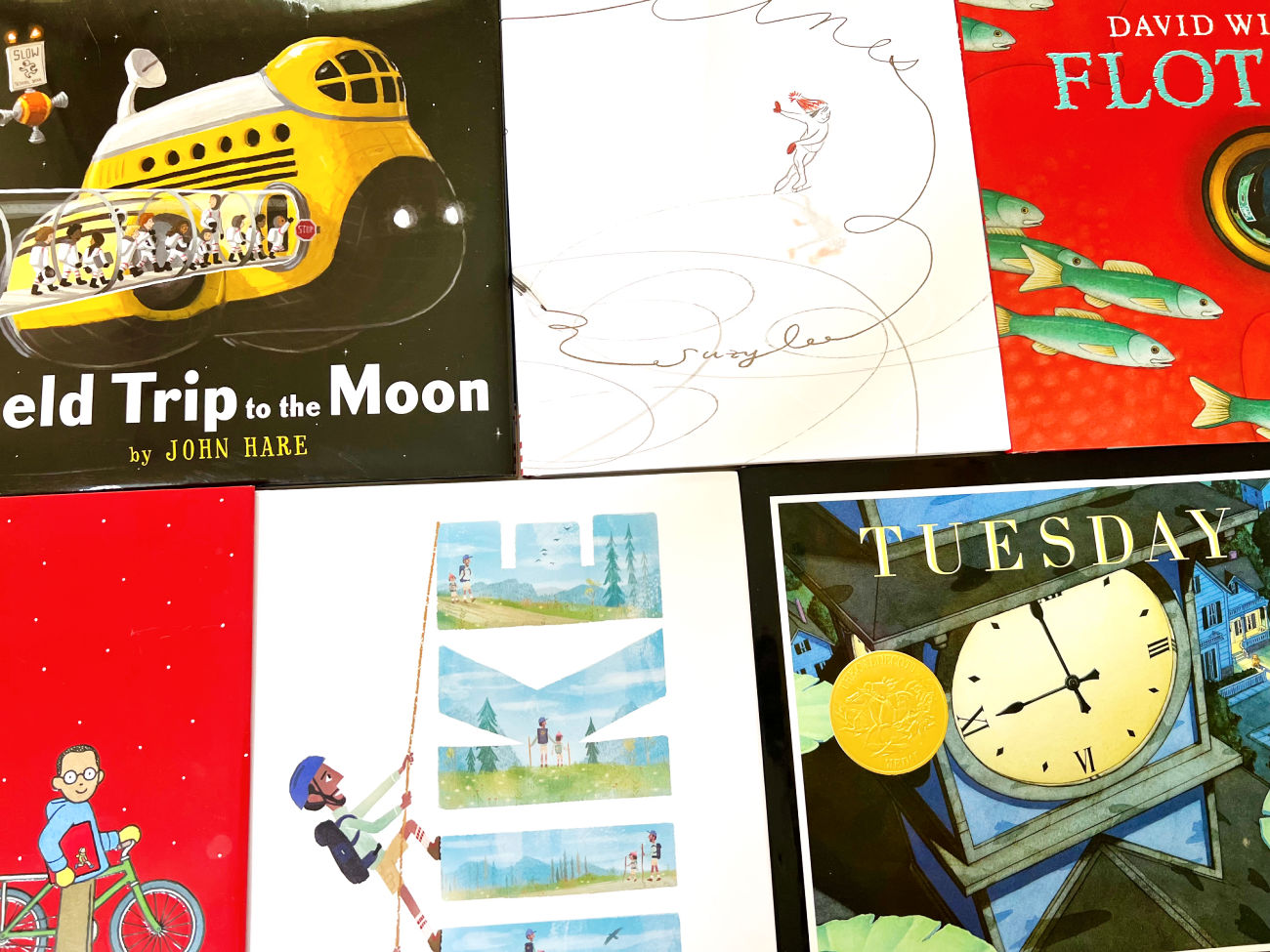 wordless picture books